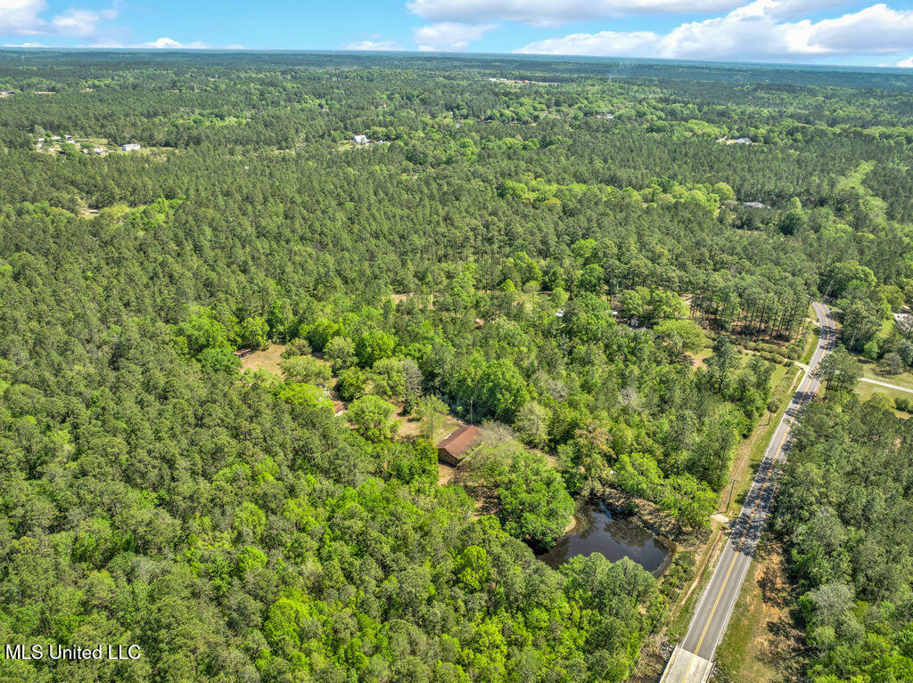 6236 Juniper Drive, Vancleave, Mississippi image 29