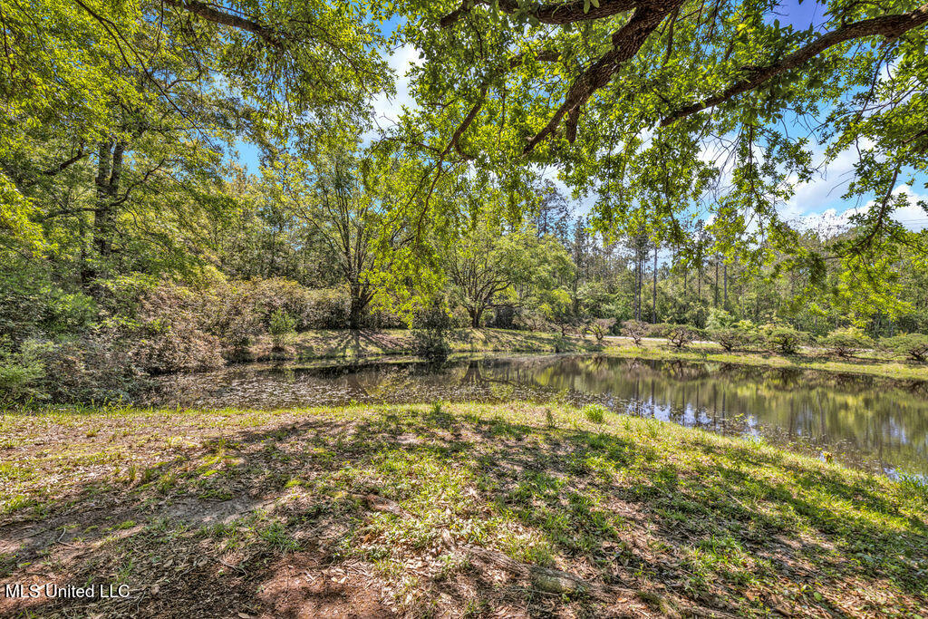6236 Juniper Drive, Vancleave, Mississippi image 2
