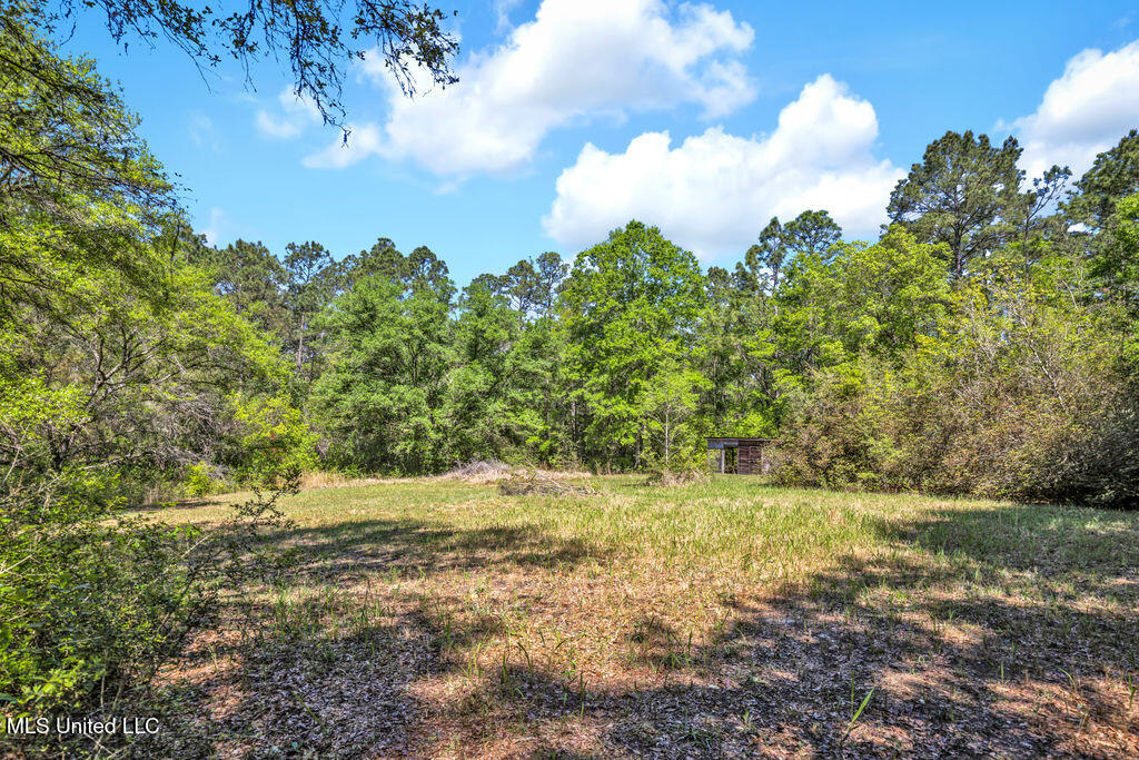 6236 Juniper Drive, Vancleave, Mississippi image 22