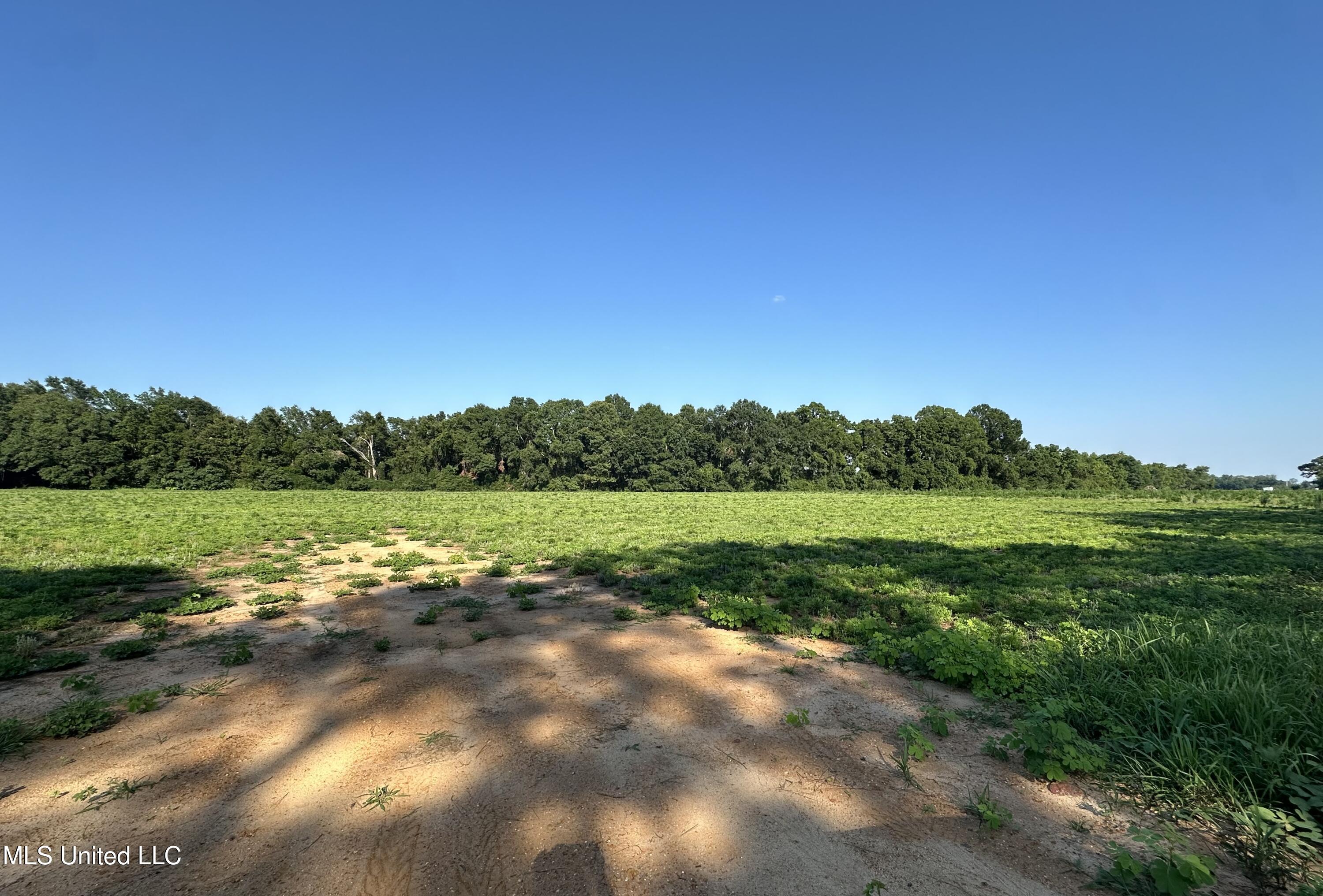 Lot 2 Marshall Smith Road, Lucedale, Mississippi image 1