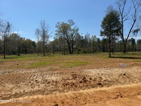 Vacant Land For Sale - LOT 12 Oakley Lane<br/> Lucedale, MS 39452