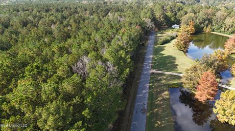 Vacant Land For Sale - Old Pinola Braxton Road<br/> Braxton, MS 39044