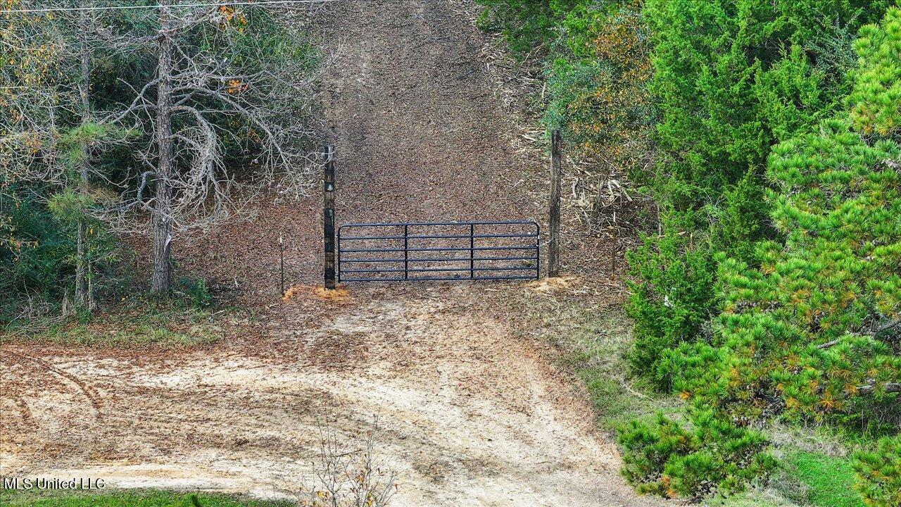 Gatesville Road, Crystal Springs, Mississippi image 2