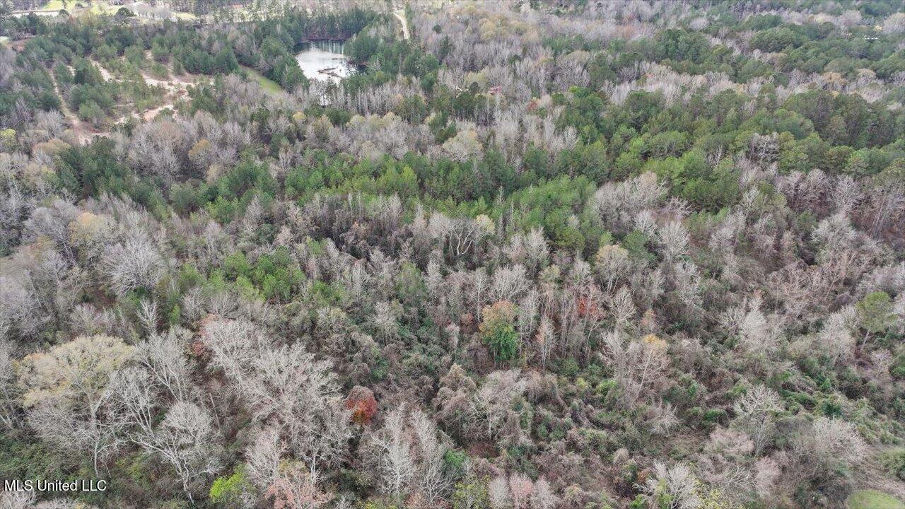 Gatesville Road, Crystal Springs, Mississippi image 8