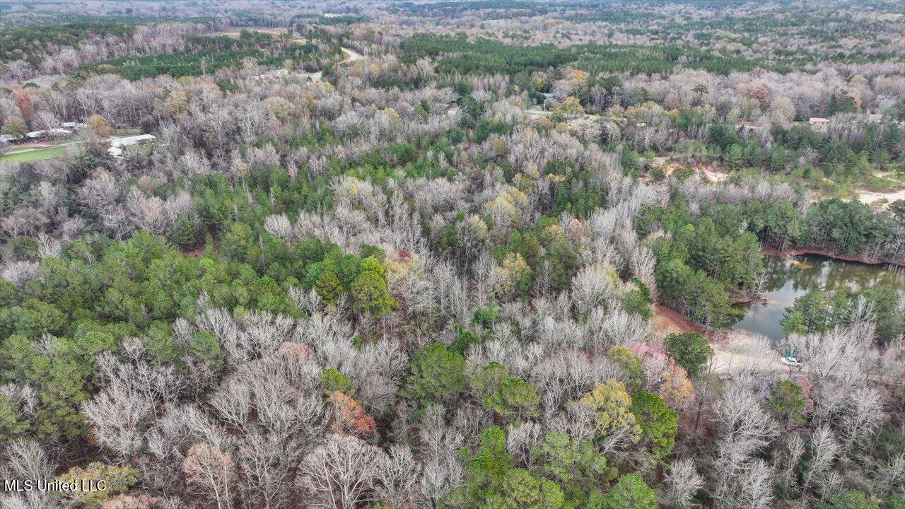 Gatesville Road, Crystal Springs, Mississippi image 14