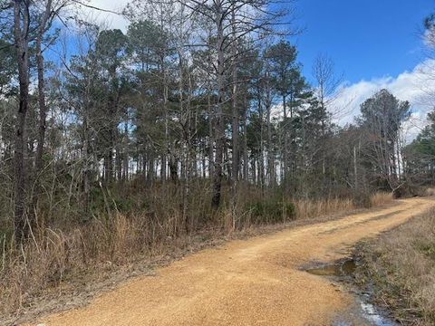 Vacant Land For Sale - 1089 Guynes Lane<br/> Crystal Springs, MS 39059
