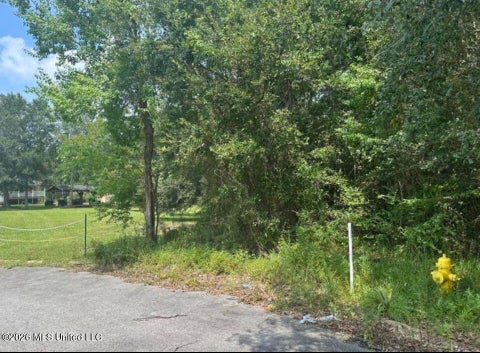 Vacant Land For Sale - King Circle<br/> Pass Christian, MS 39571