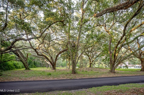 Vacant Land For Sale - LOT 3 Pointe Aux Chenes<br/> Ocean Springs, MS 39564