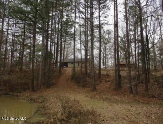 55 Scheffel Road, Natchez, Mississippi image 7