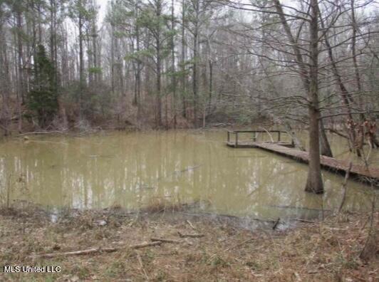 55 Scheffel Road, Natchez, Mississippi image 6