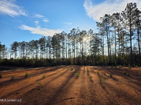 Vacant Land For Sale - 2094 S West Topisaw<br/> Summit, MS 39666