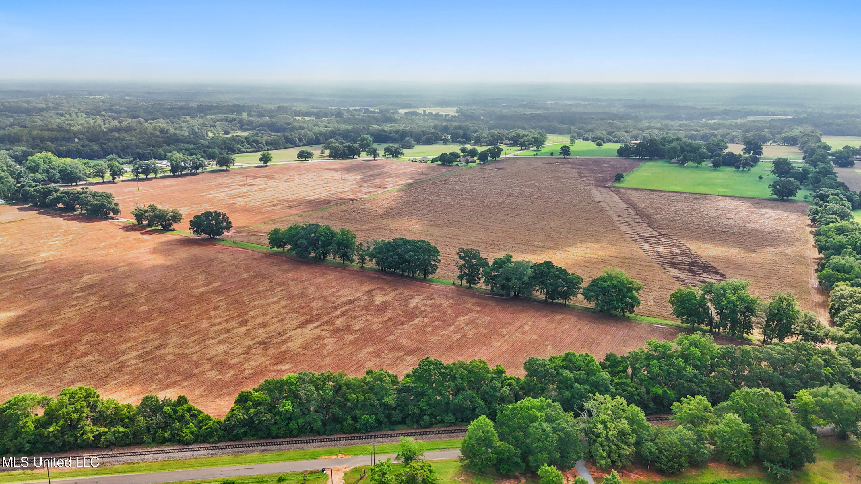 76.7 Acres Highway 613, Lucedale, Mississippi image 8