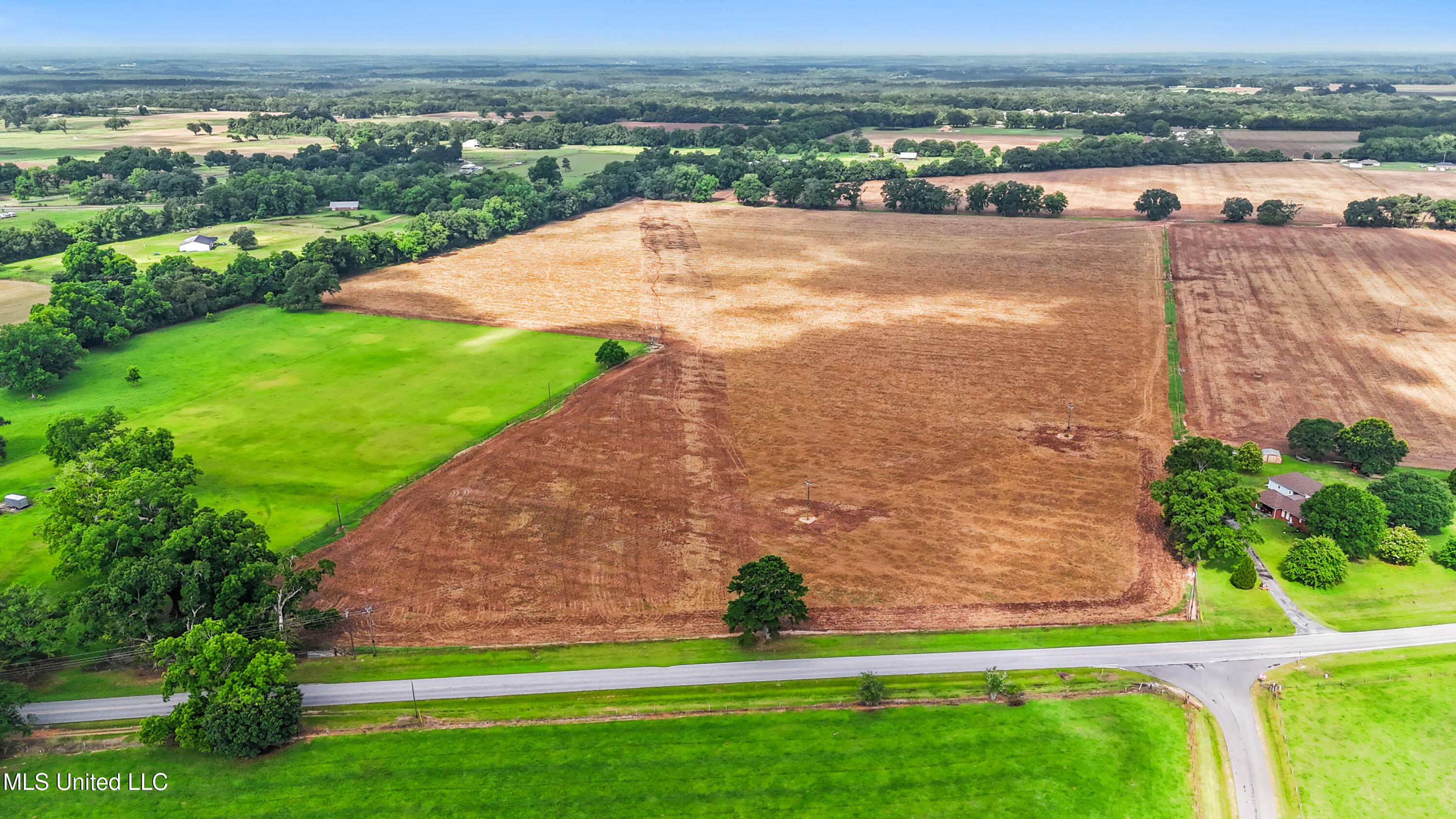 76.7 Acres Highway 613, Lucedale, Mississippi image 4