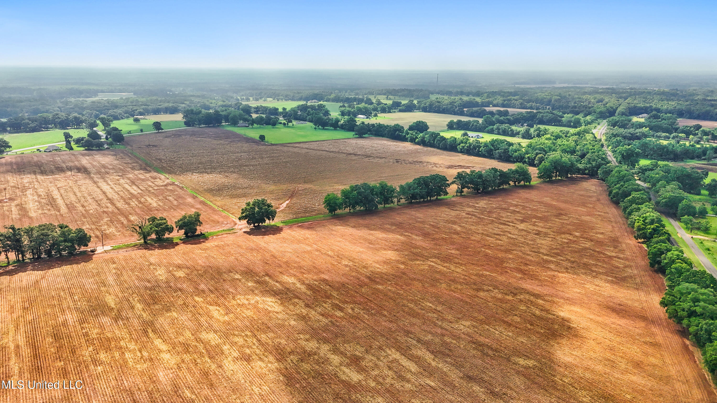 76.7 Acres Highway 613, Lucedale, Mississippi image 9