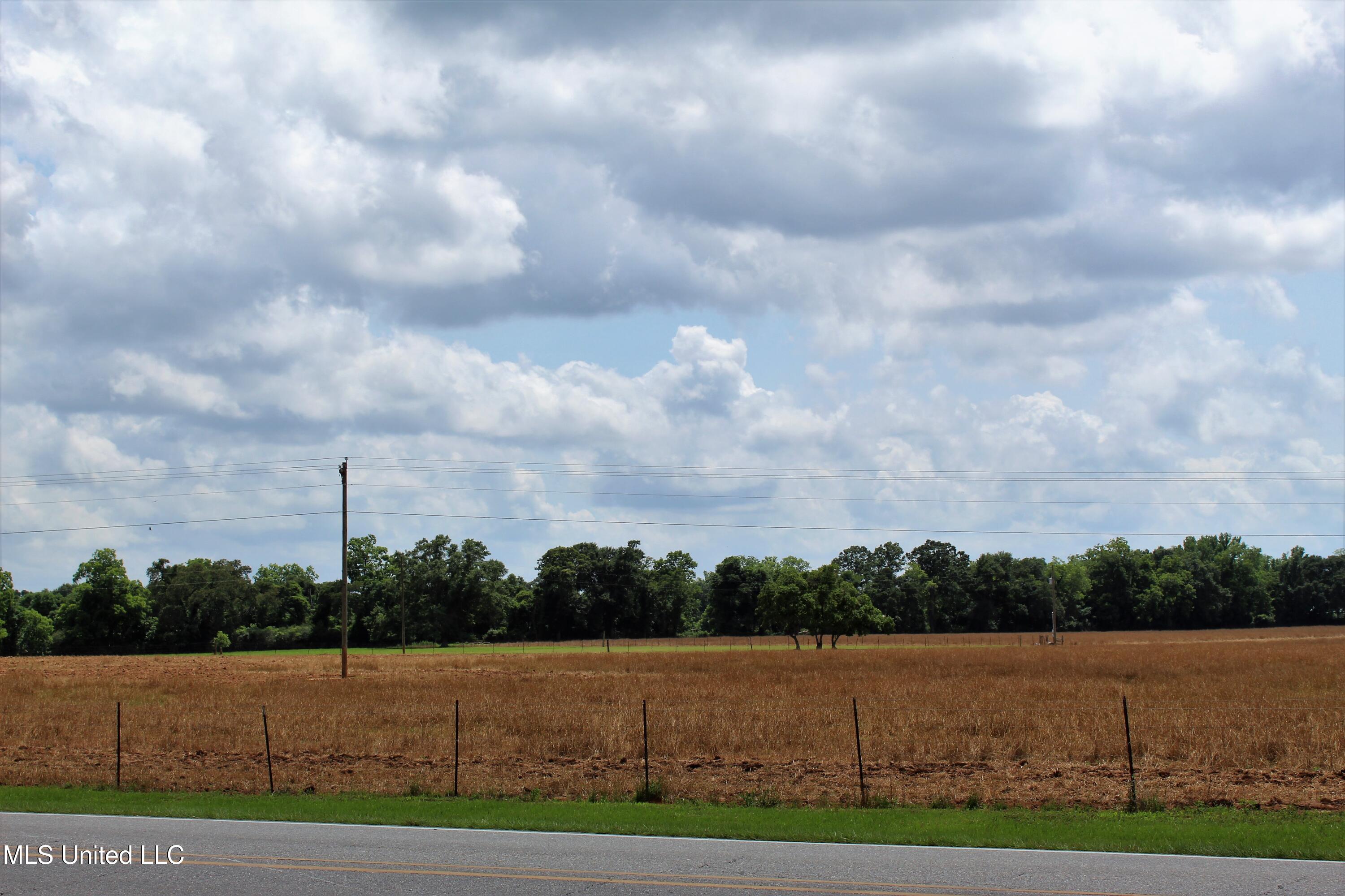 76.7 Acres Highway 613, Lucedale, Mississippi image 15
