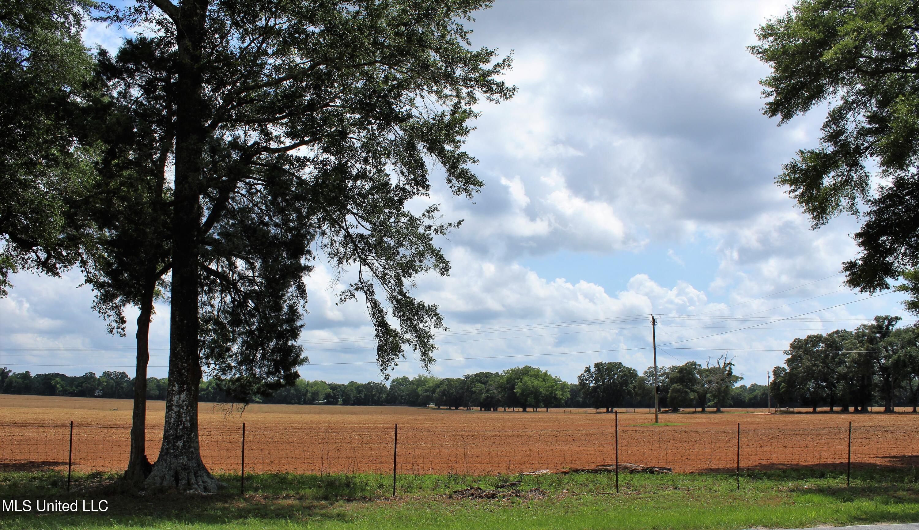 76.7 Acres Highway 613, Lucedale, Mississippi image 20