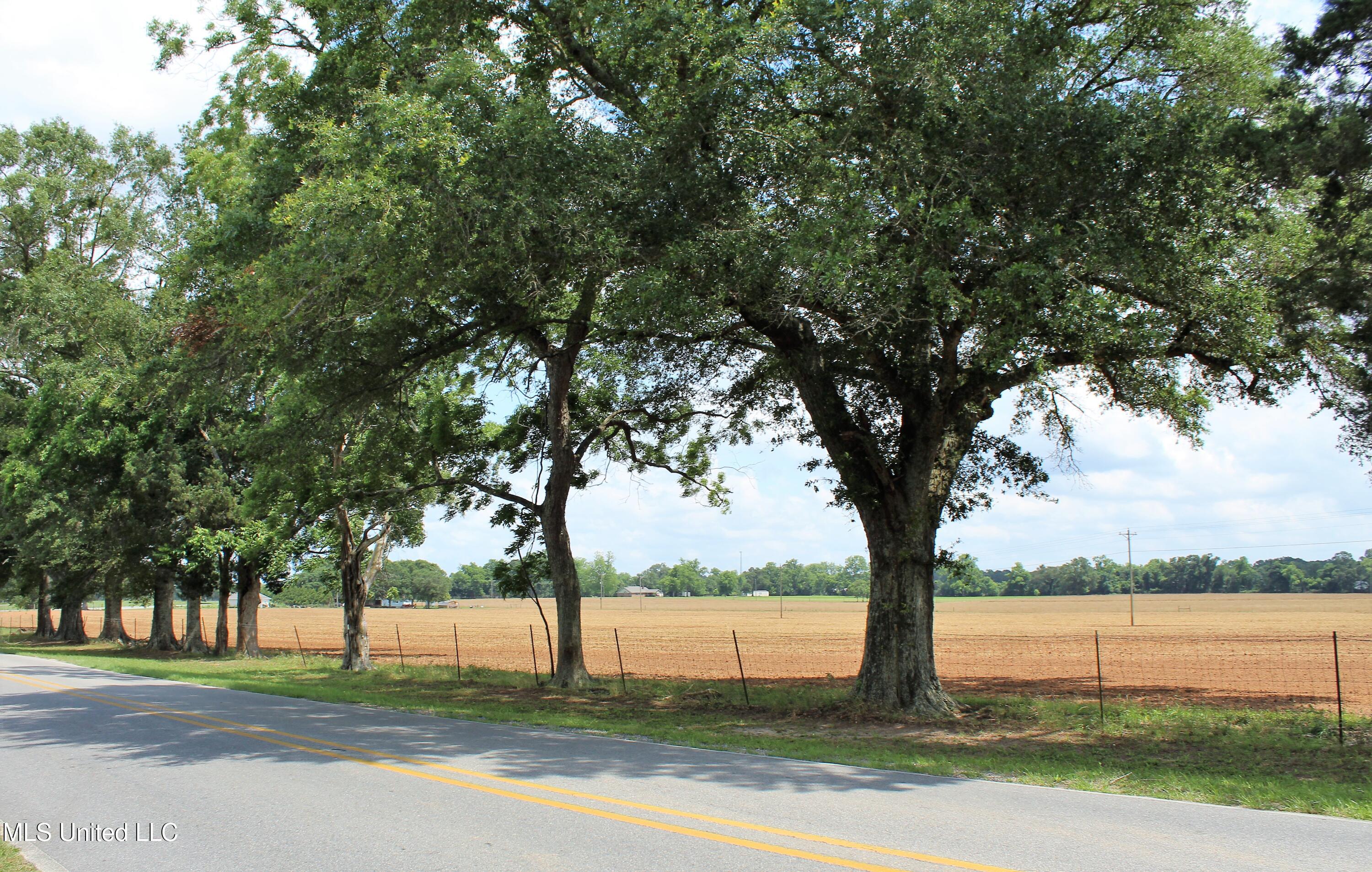 76.7 Acres Highway 613, Lucedale, Mississippi image 19
