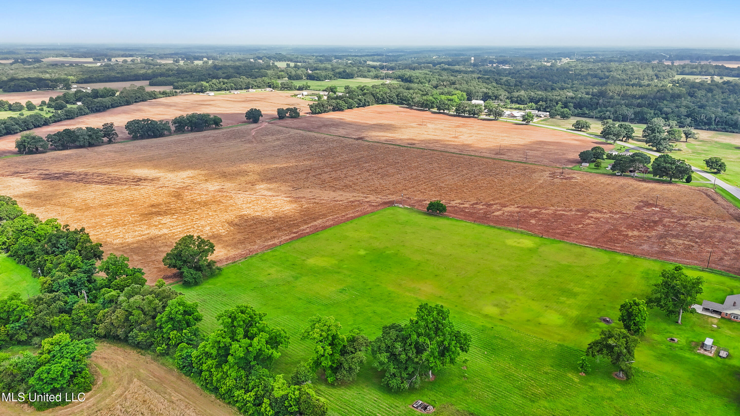 76.7 Acres Highway 613, Lucedale, Mississippi image 3