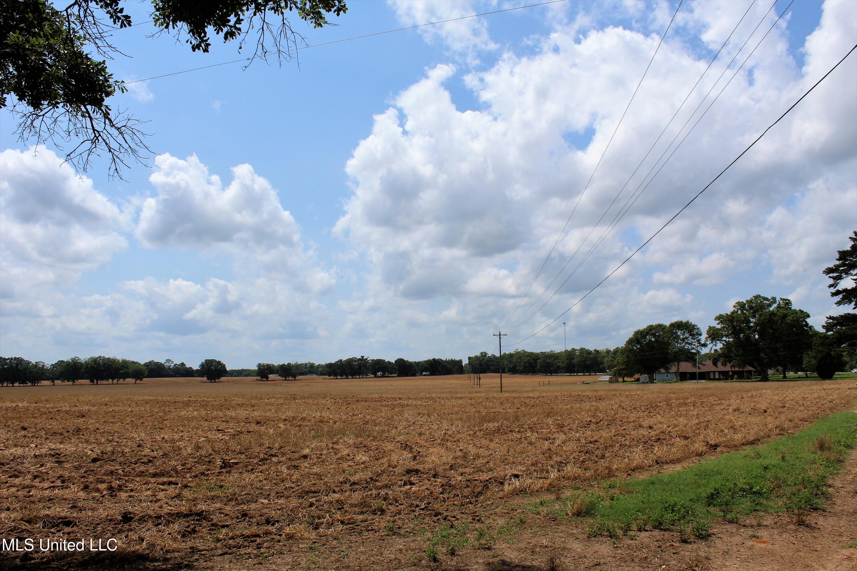 76.7 Acres Highway 613, Lucedale, Mississippi image 16