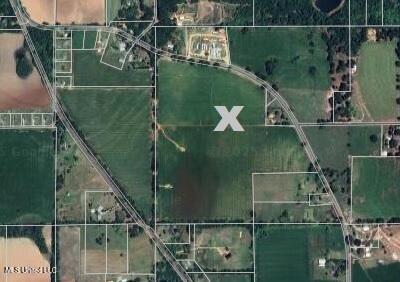 76.7 Acres Highway 613, Lucedale, Mississippi image 24