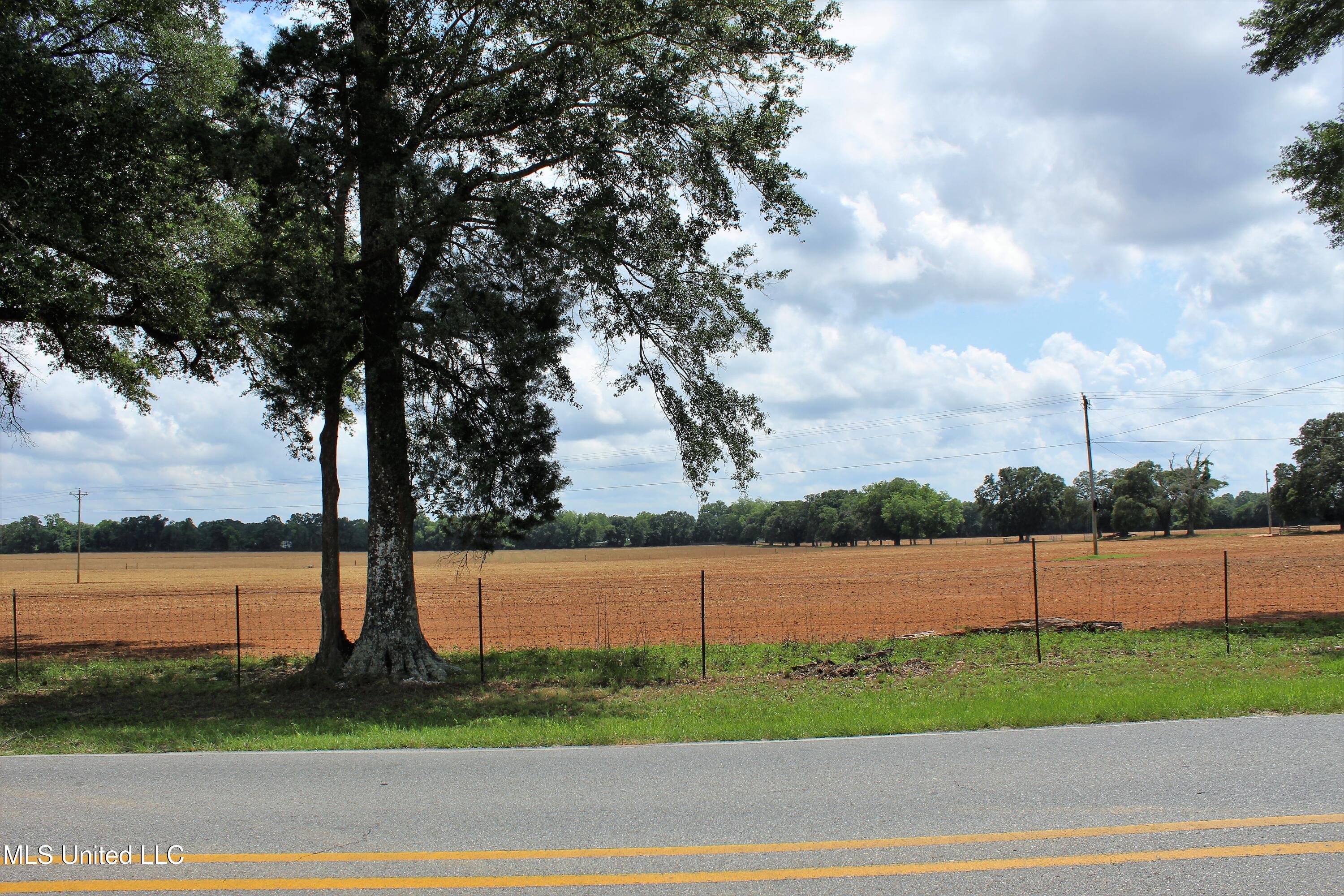 76.7 Acres Highway 613, Lucedale, Mississippi image 23