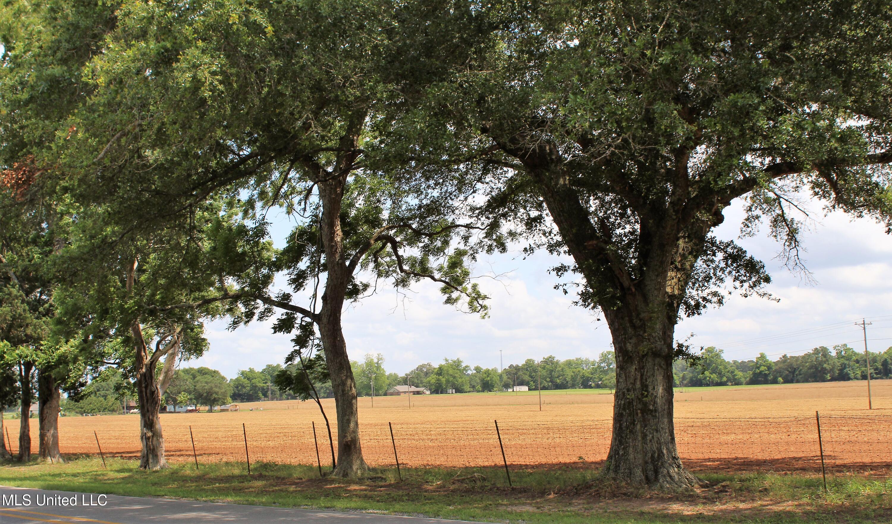 76.7 Acres Highway 613, Lucedale, Mississippi image 1