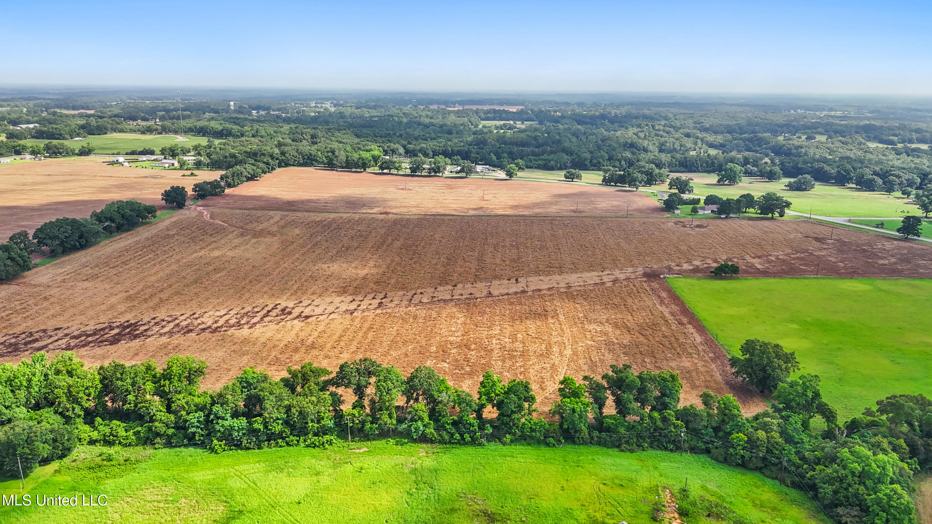 76.7 Acres Highway 613, Lucedale, Mississippi image 5