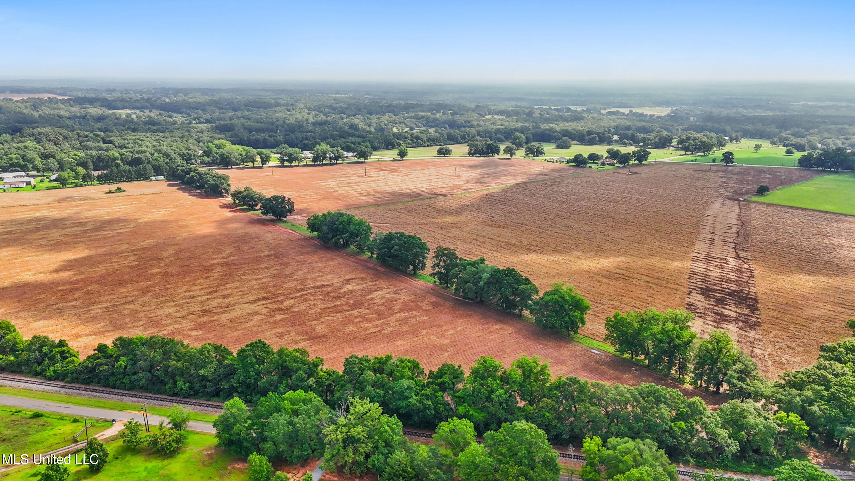76.7 Acres Highway 613, Lucedale, Mississippi image 7