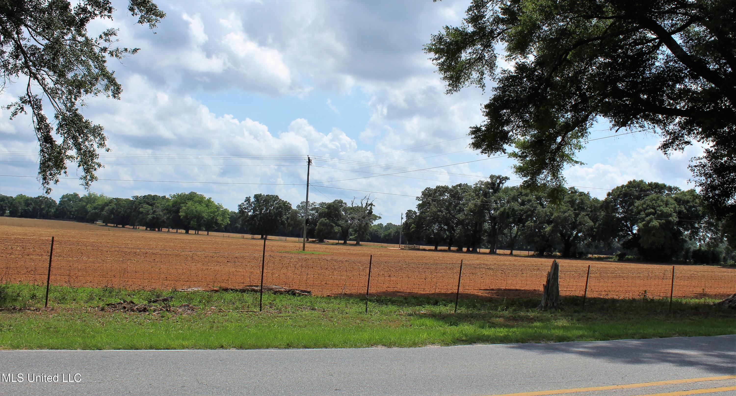 76.7 Acres Highway 613, Lucedale, Mississippi image 22