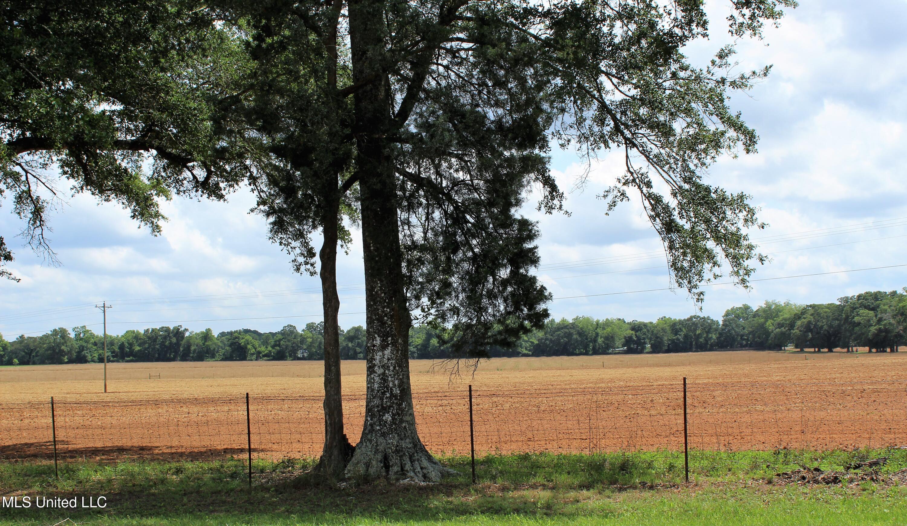 76.7 Acres Highway 613, Lucedale, Mississippi image 27