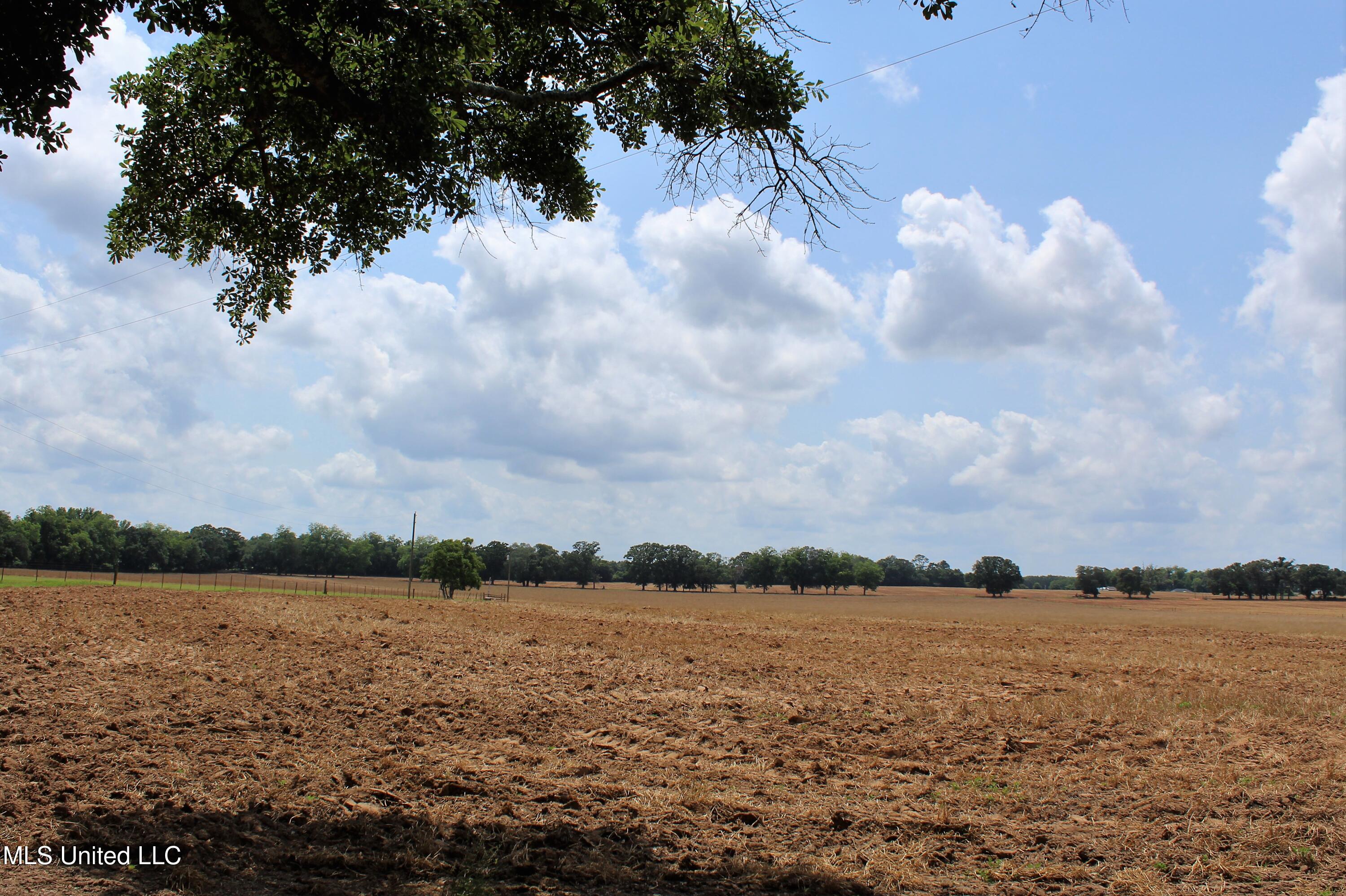 76.7 Acres Highway 613, Lucedale, Mississippi image 18