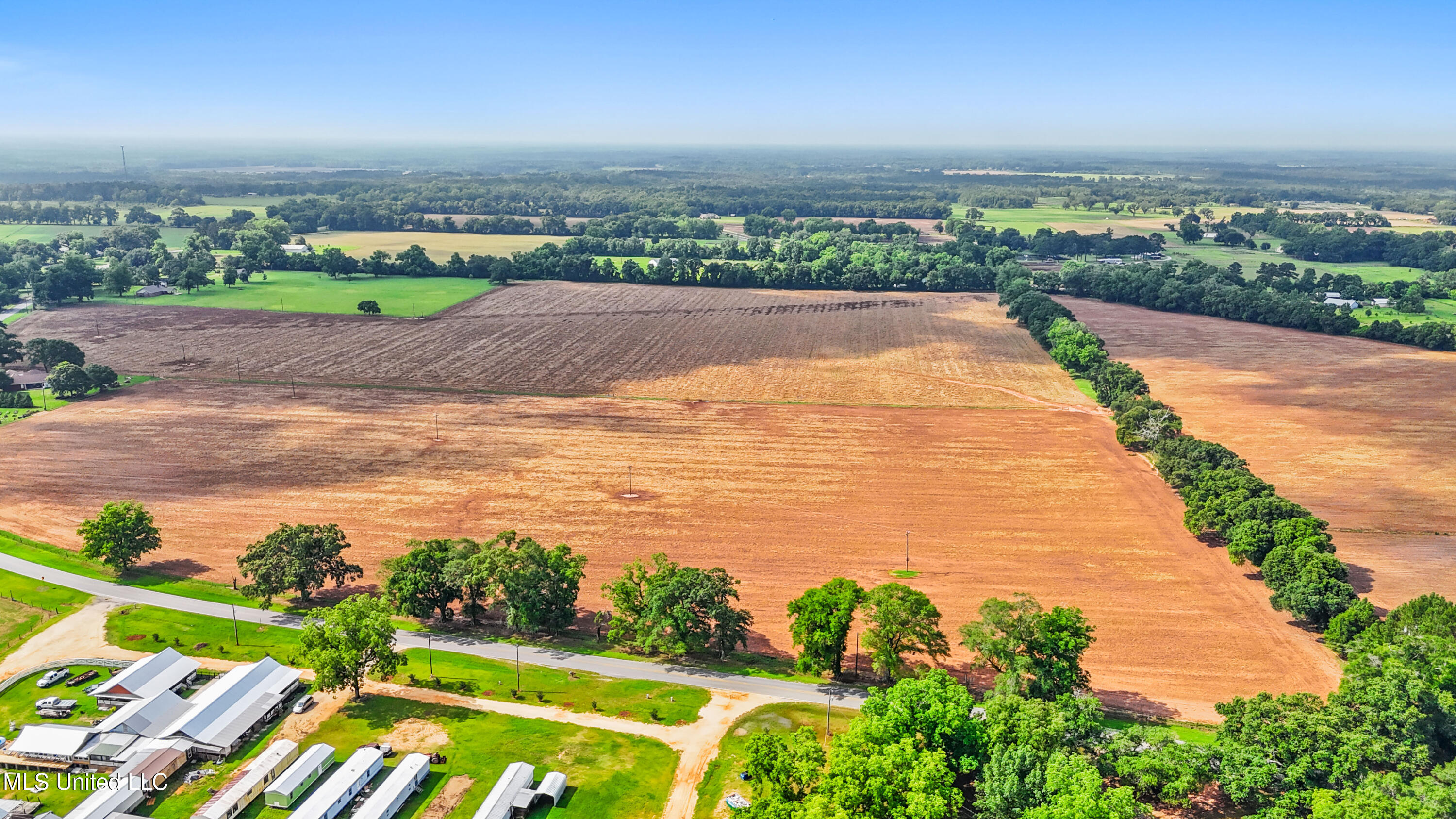 76.7 Acres Highway 613, Lucedale, Mississippi image 6
