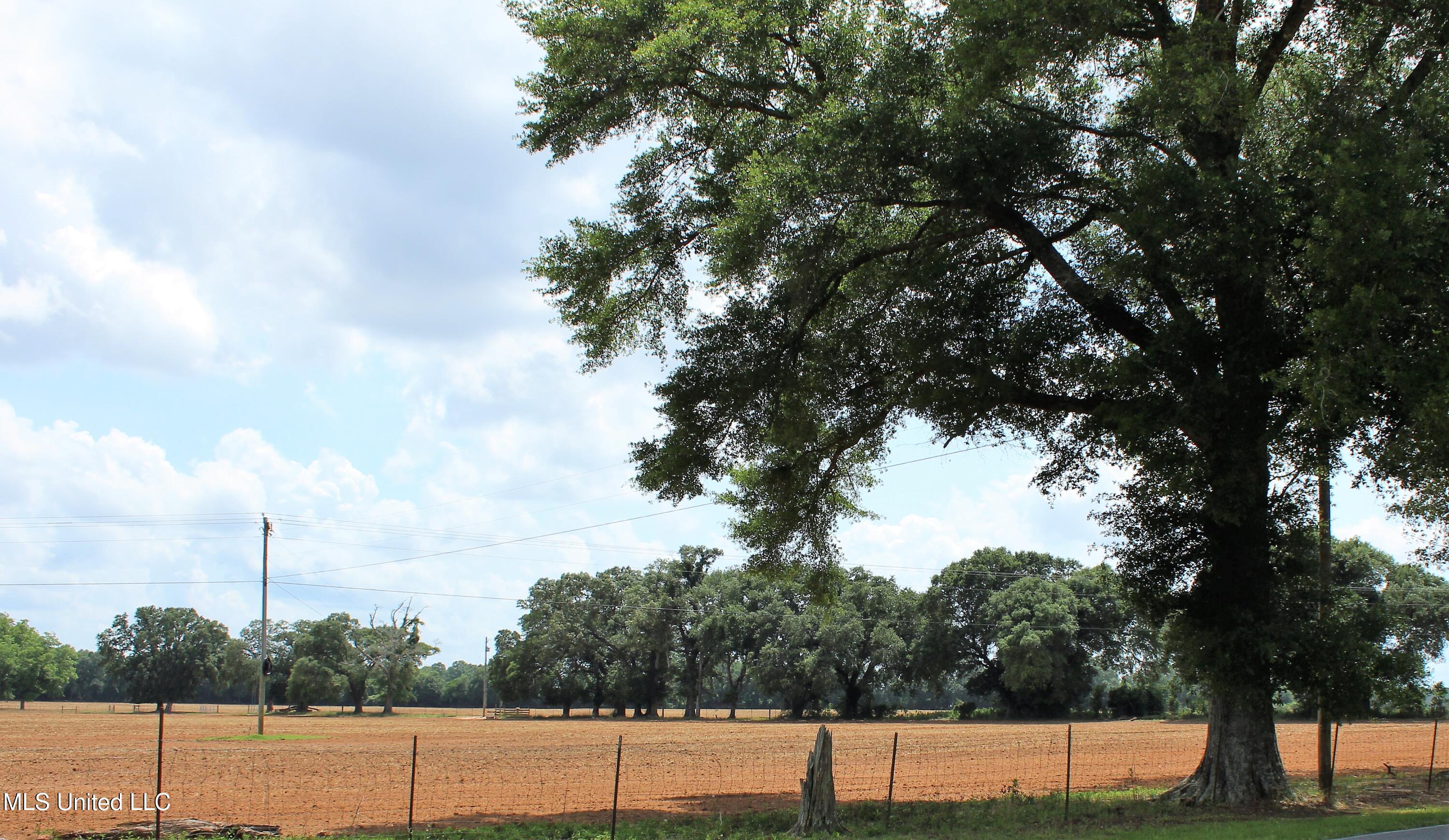 76.7 Acres Highway 613, Lucedale, Mississippi image 21