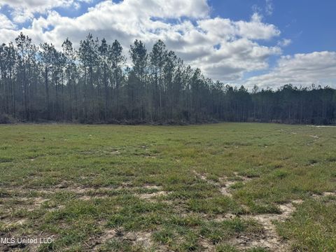 Vacant Land For Sale - Smiley Honea Road<br/> Amite County, Magnolia, MS 39652