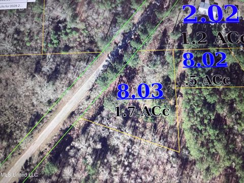 Vacant Land For Sale - 2902 County Road 20<br/> Jasper County, Rose Hill, MS 39356