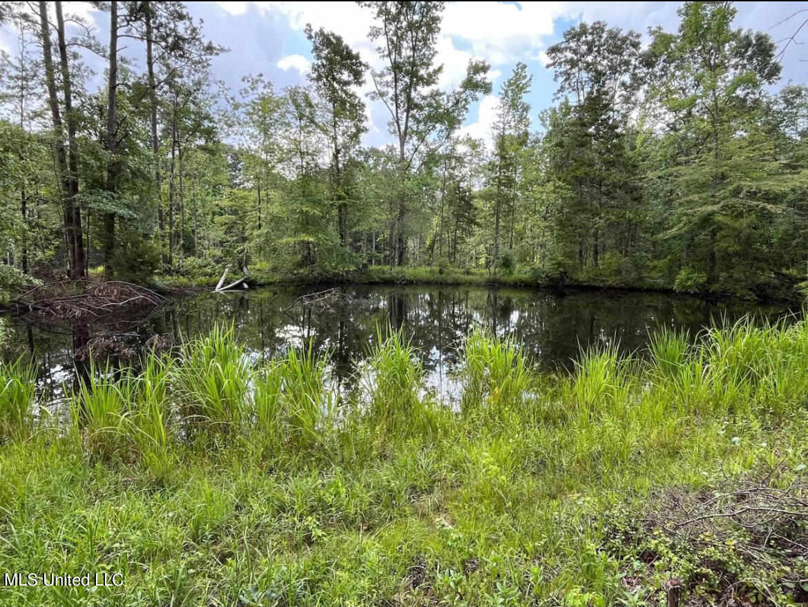 Misterton Road Road, Gore Springs, Mississippi image 1