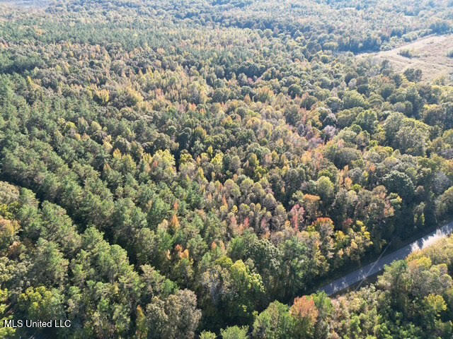 Perry Chapel Road, Ashland, Mississippi image 12