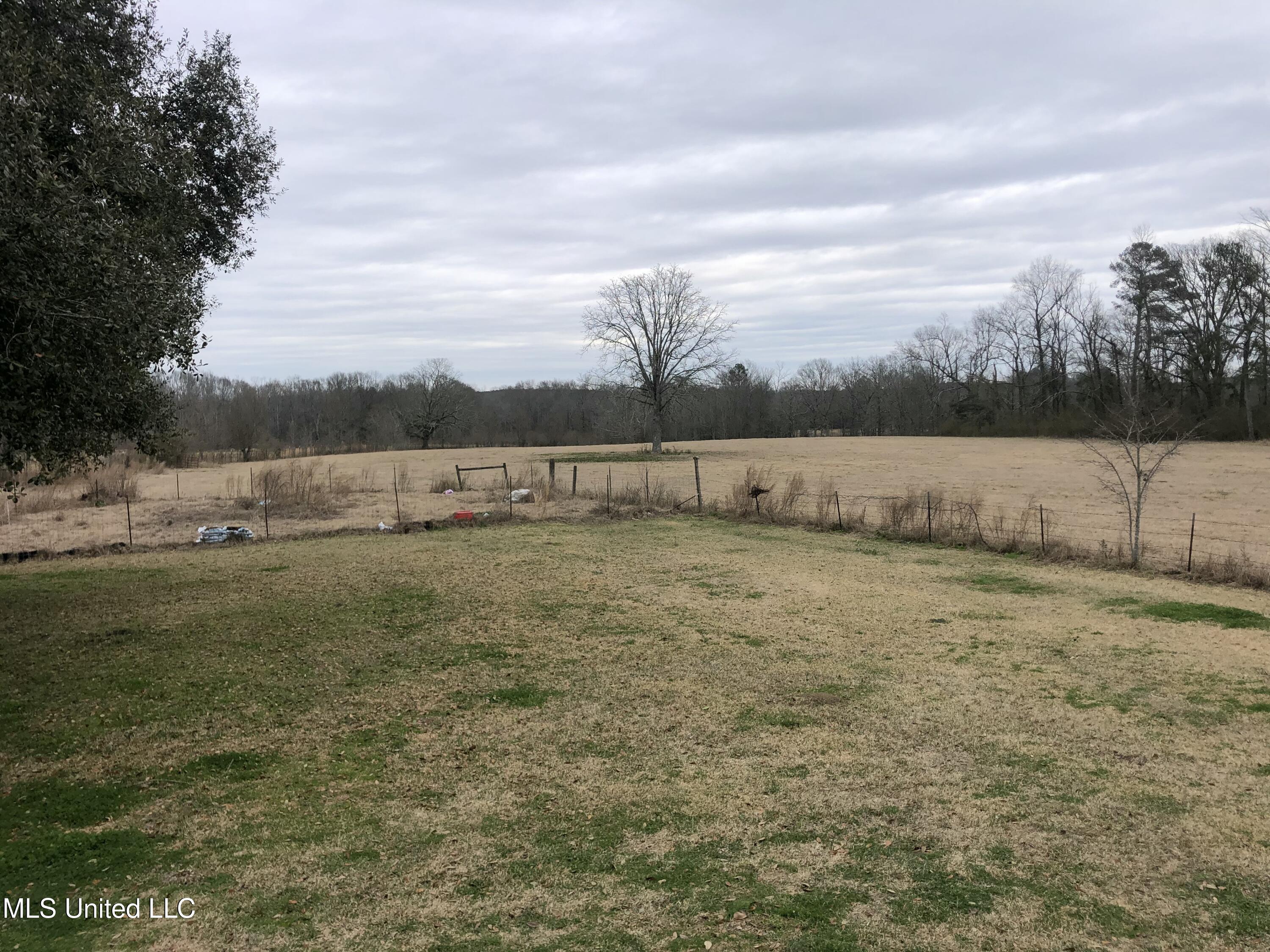 3951 Lawrence Hazel Rd, Lawrence, Mississippi image 2