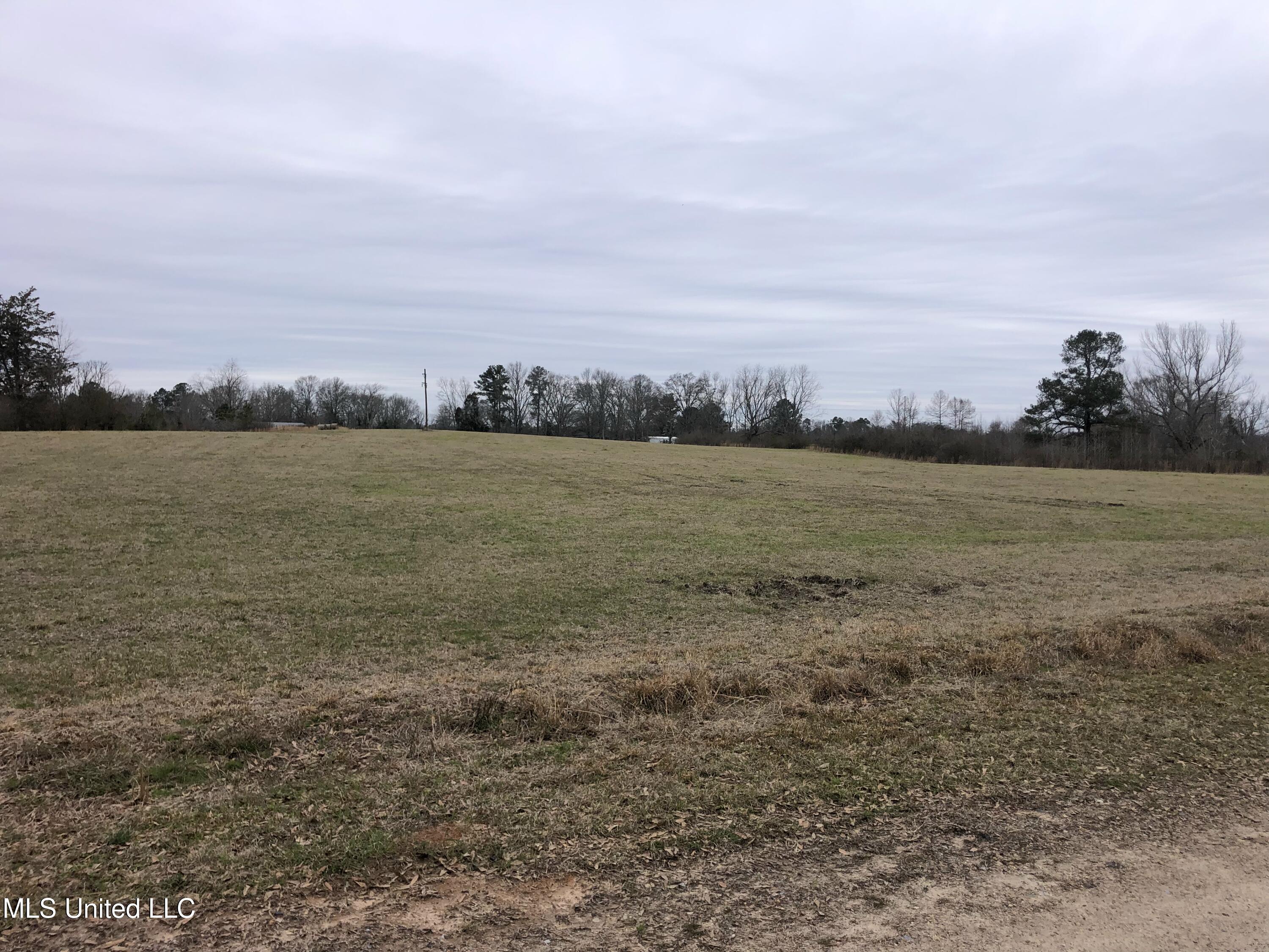 3951 Lawrence Hazel Rd, Lawrence, Mississippi image 1