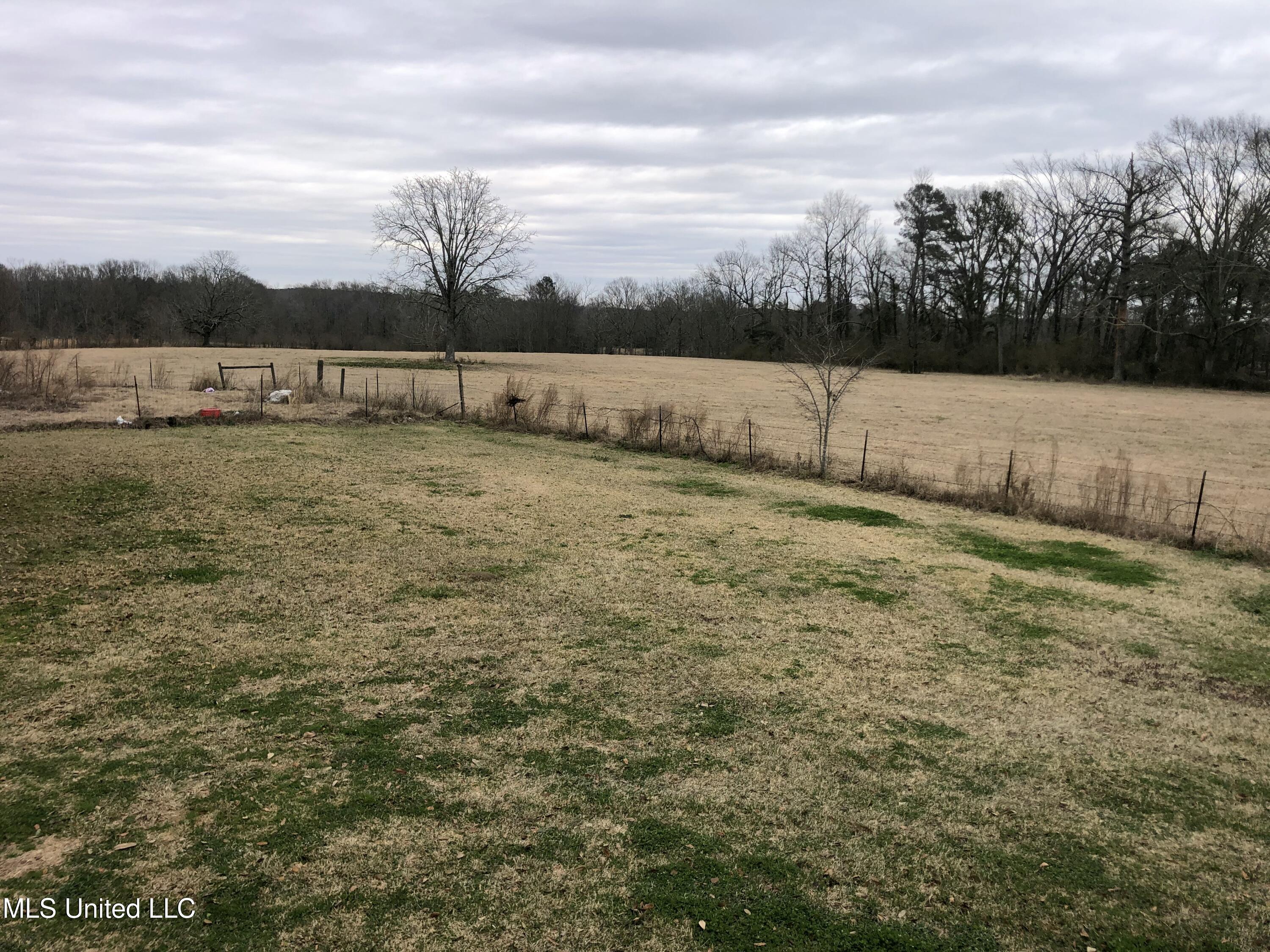 3951 Lawrence Hazel Rd, Lawrence, Mississippi image 3