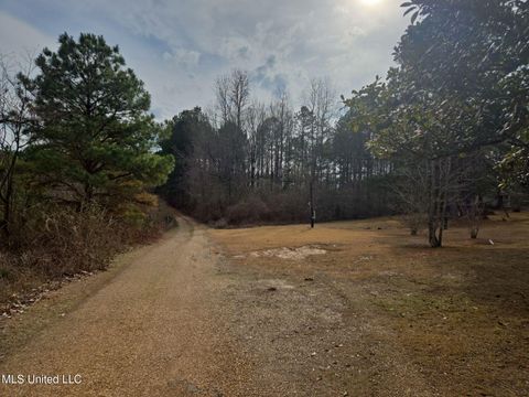 Vacant Land For Sale - 654 Baremore Street<br/> Winston County, Louisville, MS 39339
