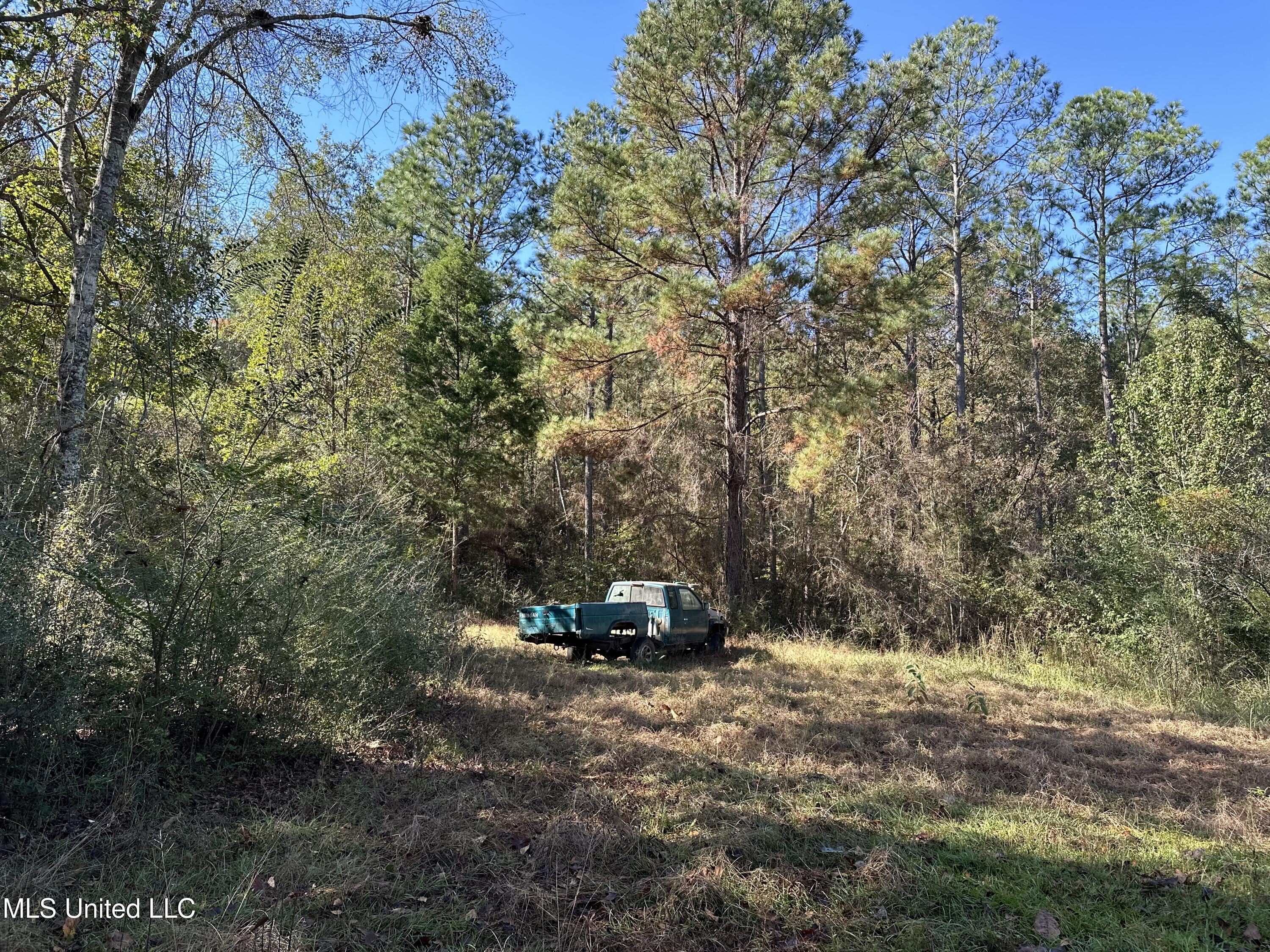 1813 Crutchfield Road, Lucedale, Mississippi image 29