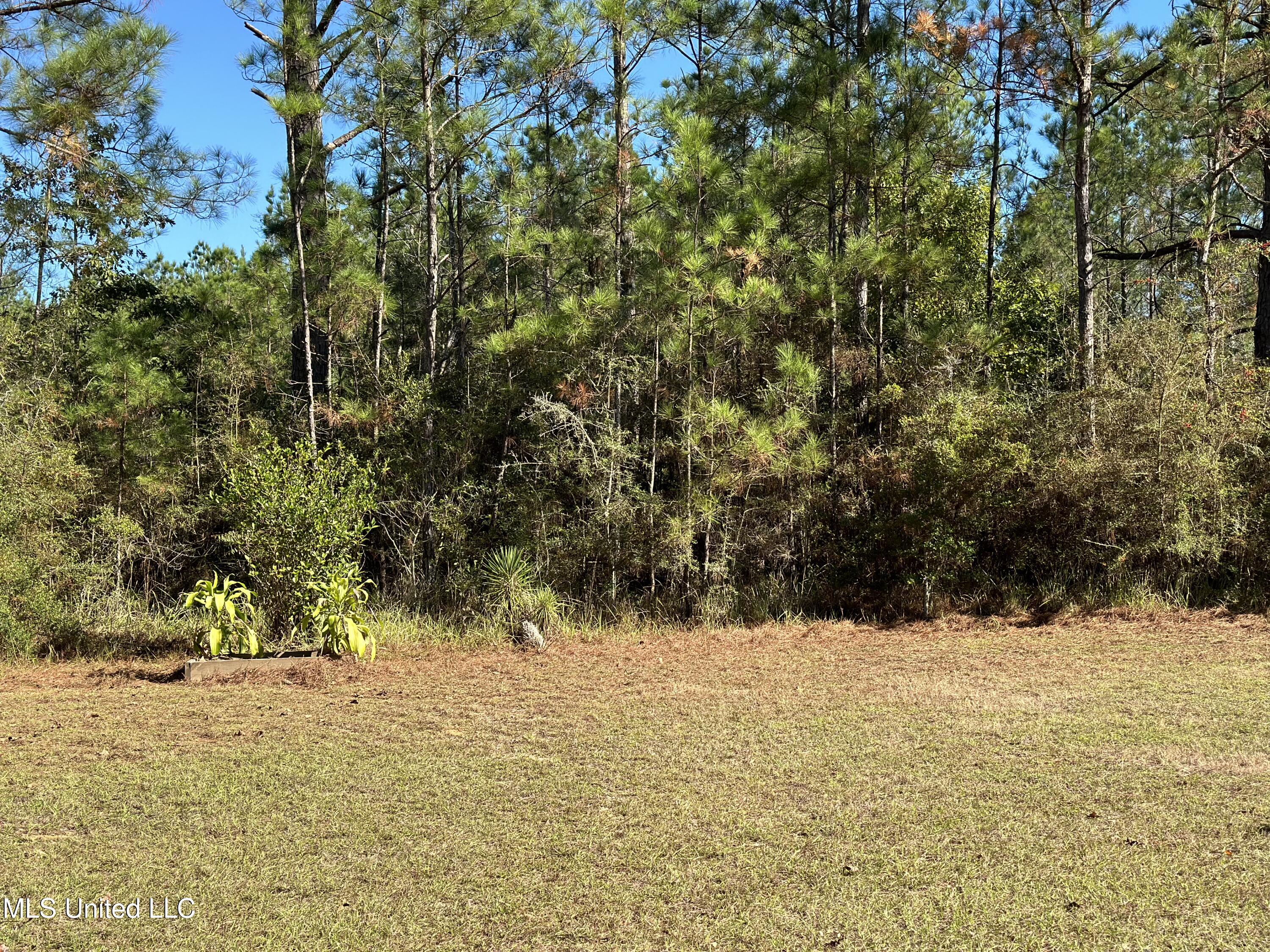 1813 Crutchfield Road, Lucedale, Mississippi image 7