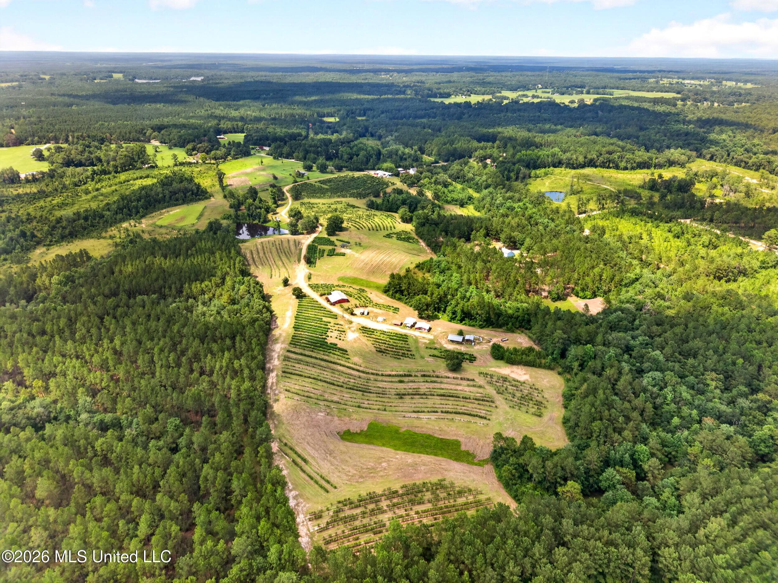 40 Acres Slade Woodward Road