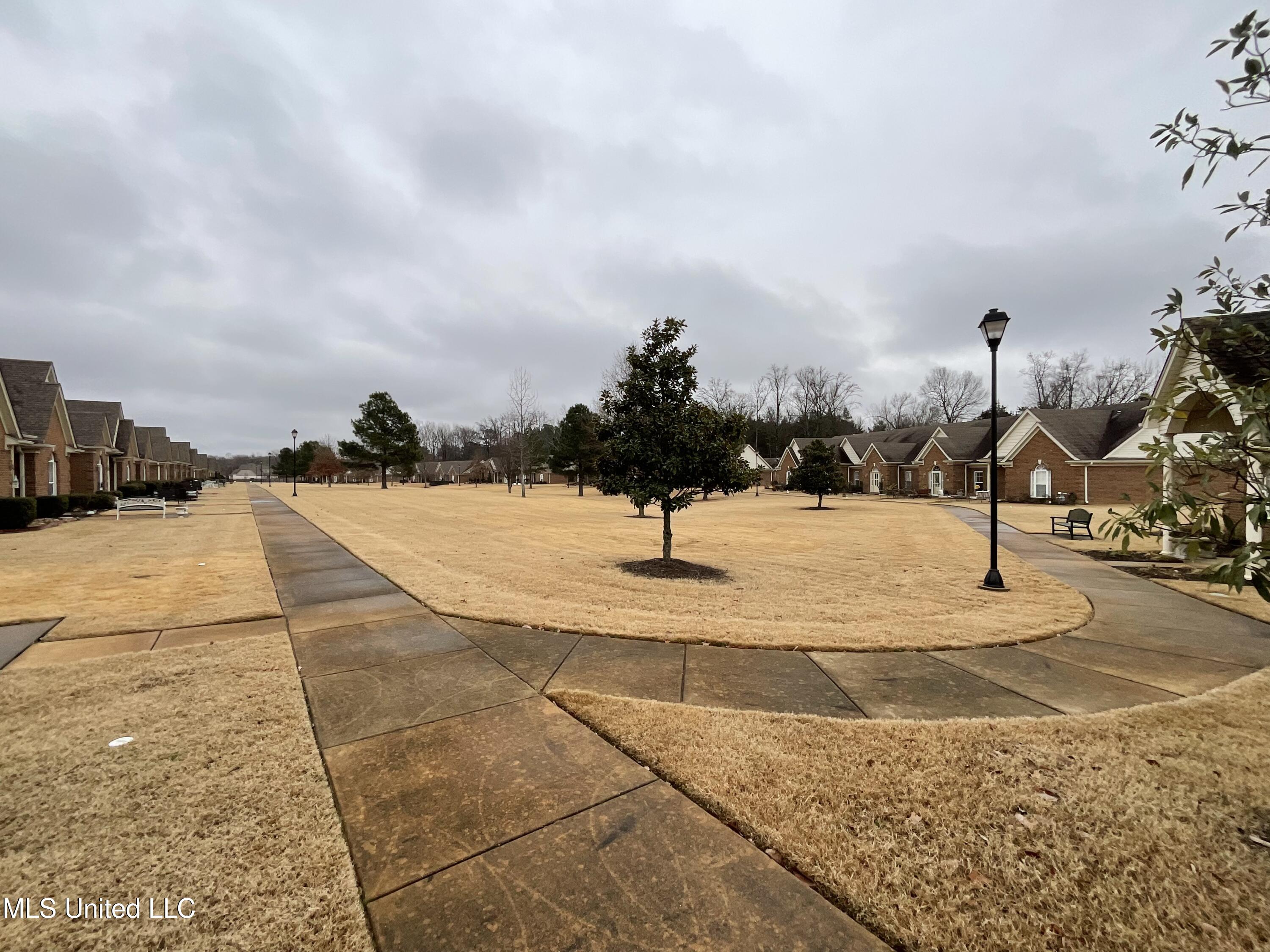 3167 Jade Lane, Southaven, Mississippi image 13