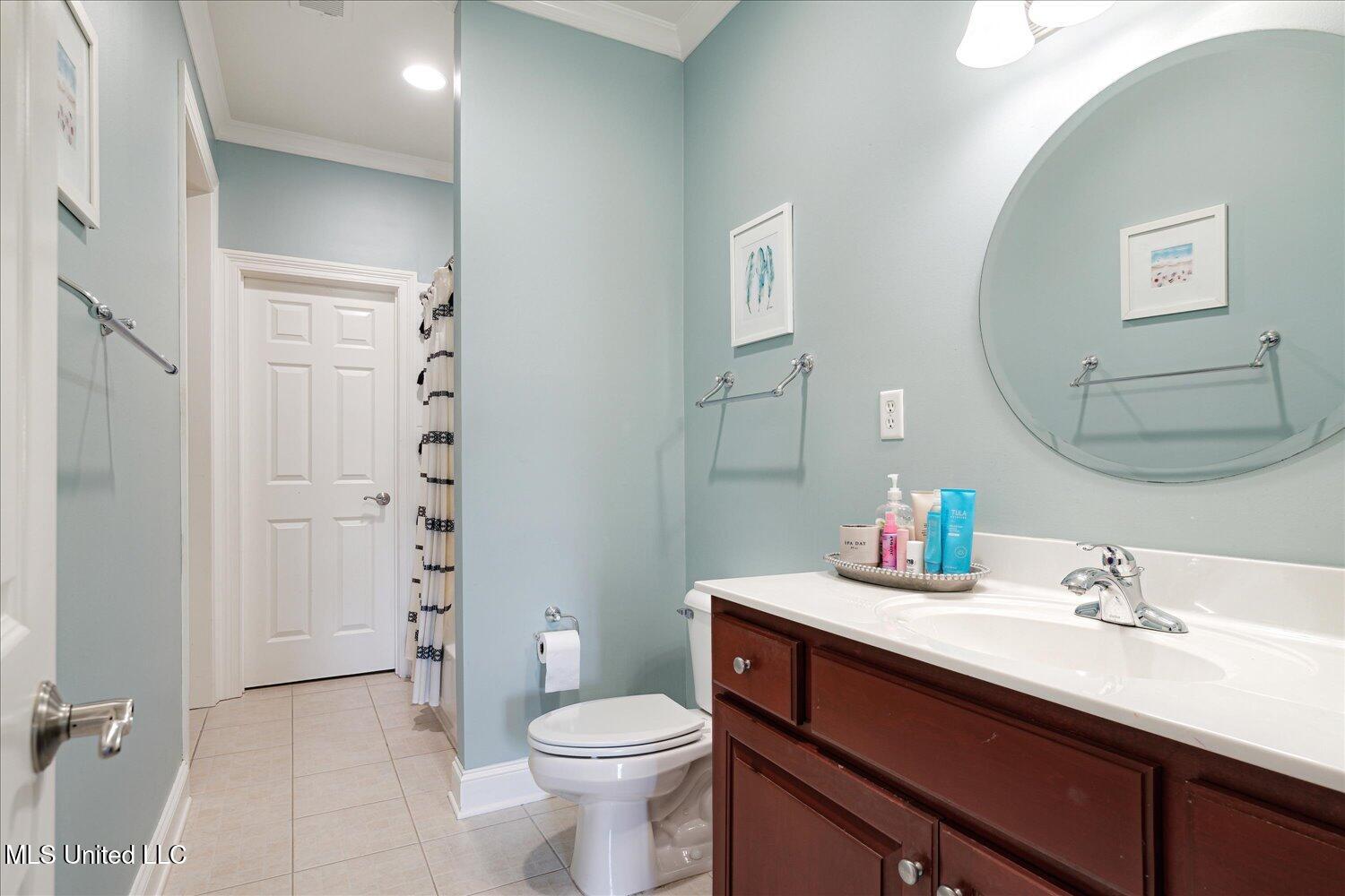 5264 Chappel Cove, Olive Branch, Mississippi image 33