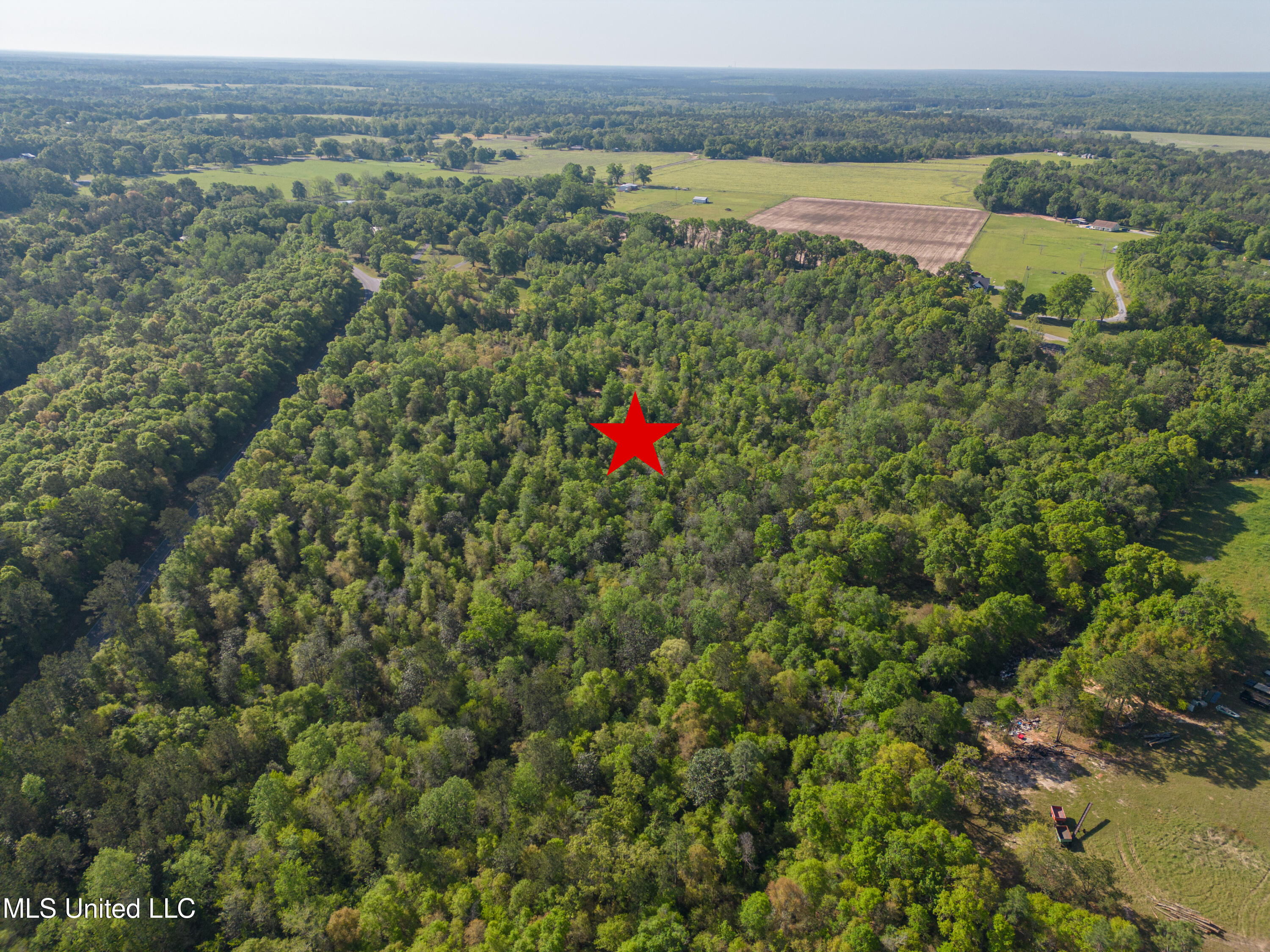 River Road, Lucedale, Mississippi image 7