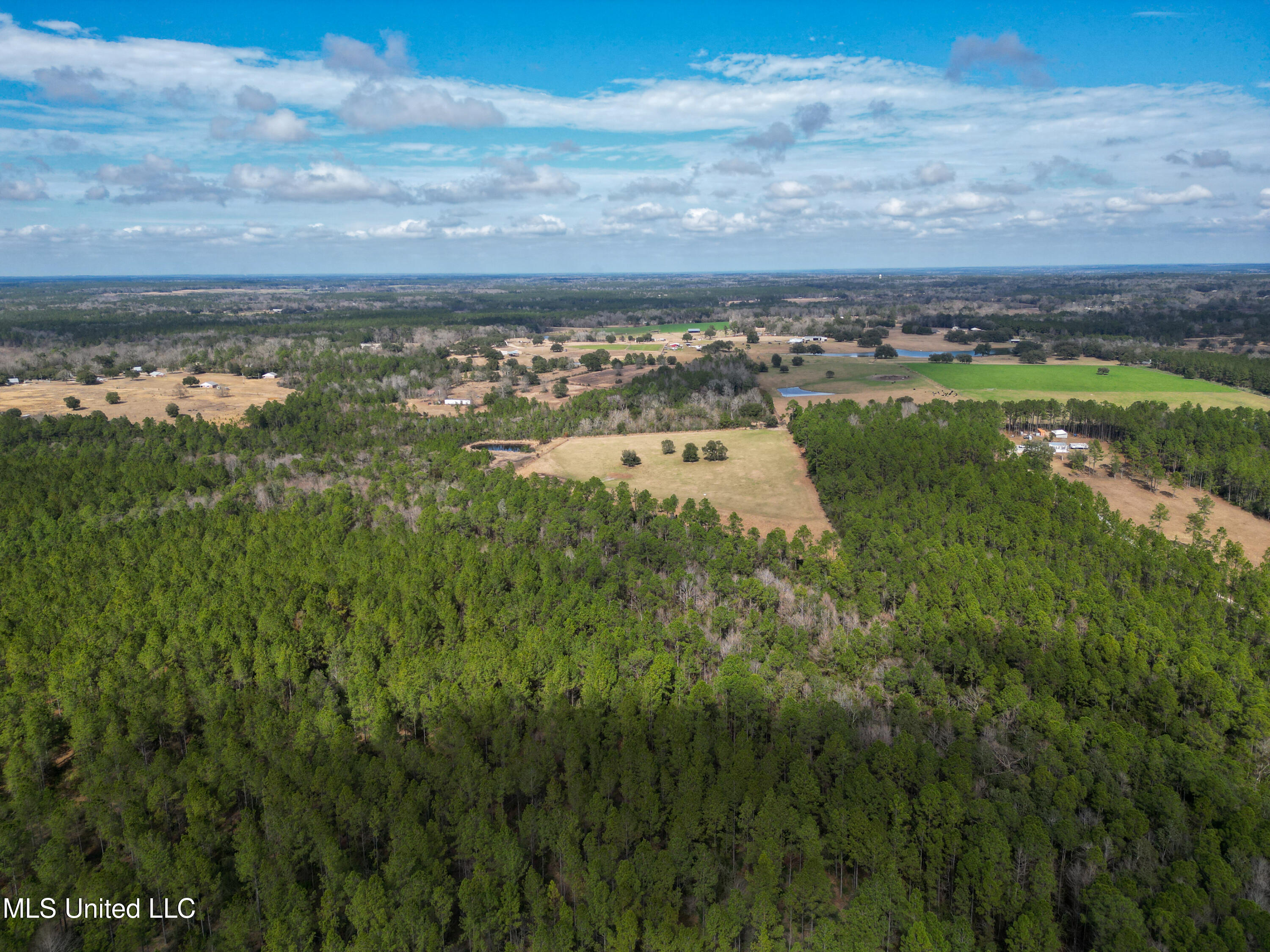 Firetower Road, Kiln, Mississippi image 6