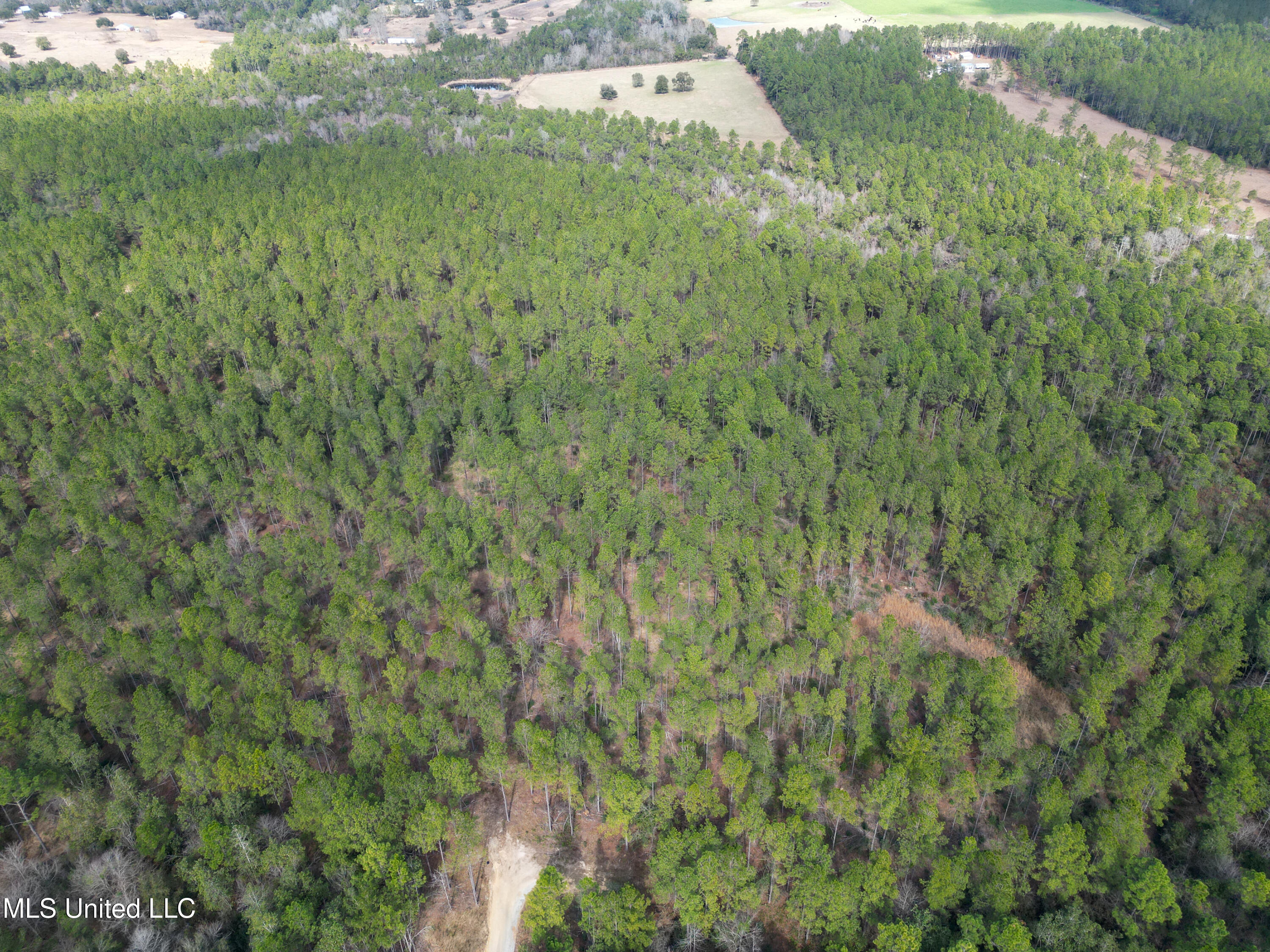 Firetower Road, Kiln, Mississippi image 3