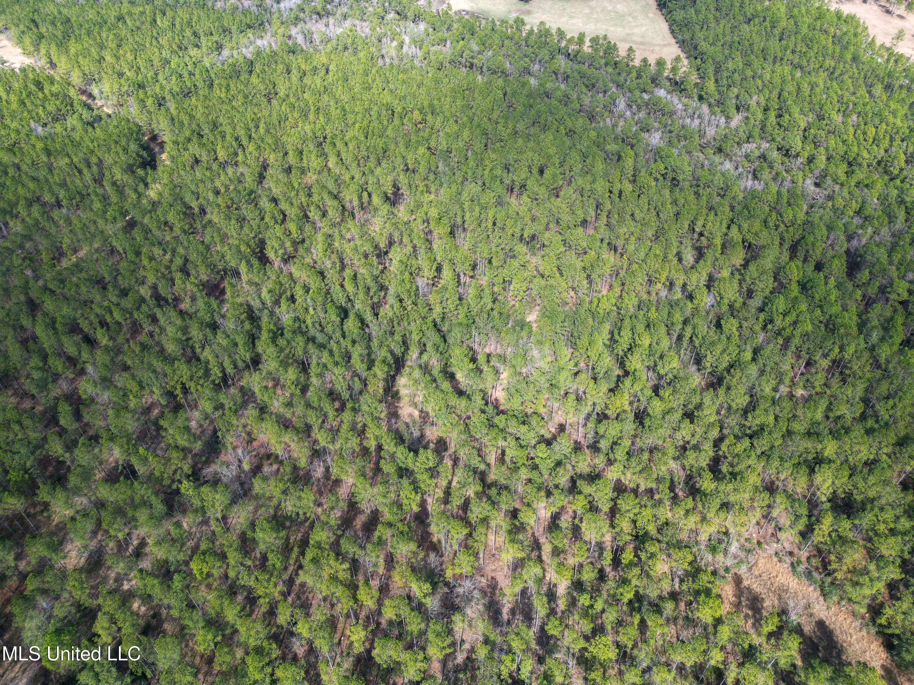 Firetower Road, Kiln, Mississippi image 4